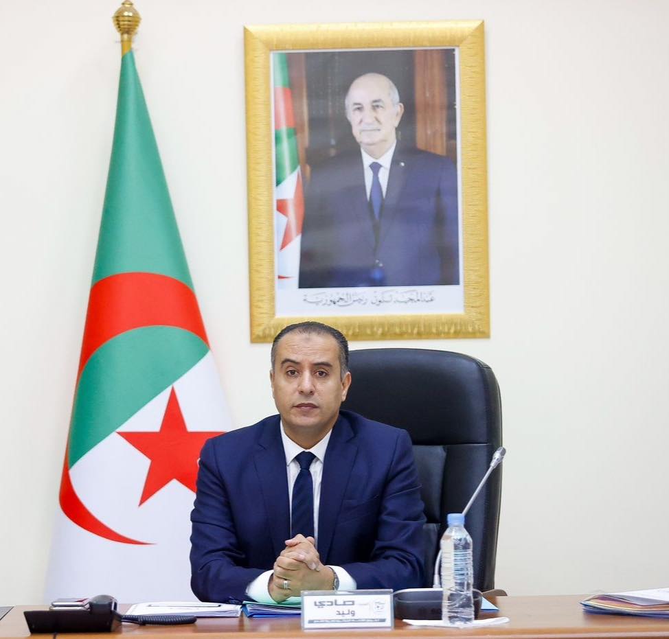 تعيين السيد صادي وليد وزيرا للرياضة